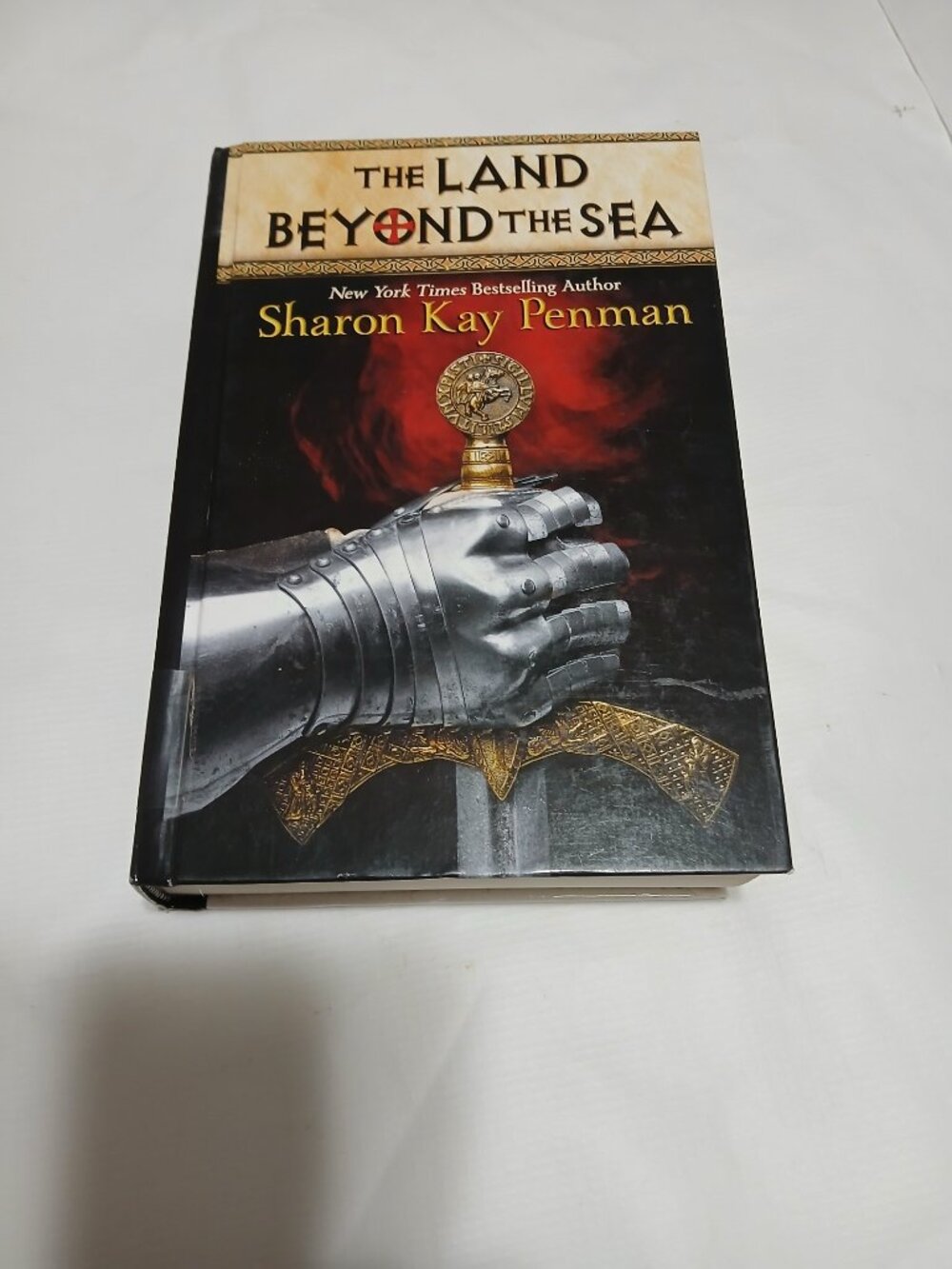 Sharon Kay Penman The Land Beyond The Sea 2020 Large Print Edition Hardcover